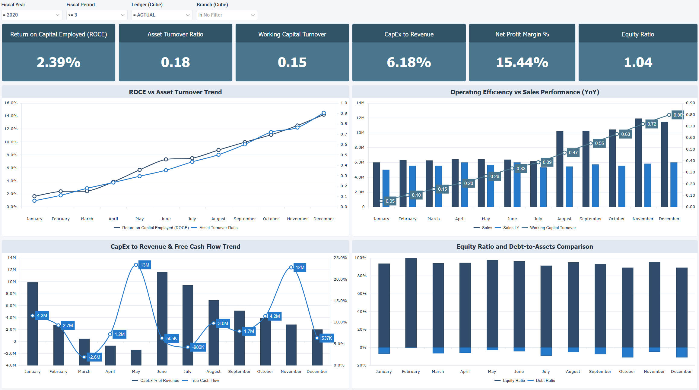 OLAP - Strategic Financial Health & Efficiency
